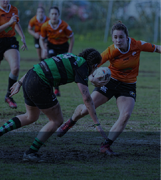 COPA CORPORATIVA DE TOCHITO BANDERA