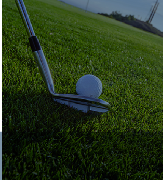 CAMPEONATO DE GOLF DE NEGOCIOS