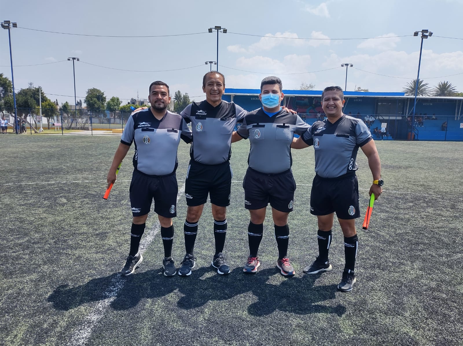 Arbitraje profesional